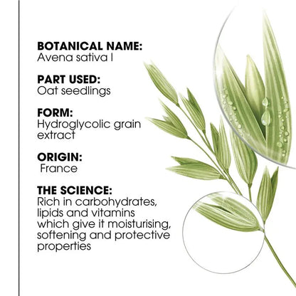 Klorane Tinted Dry Shampoo with Oat and Ceramide - Klorane