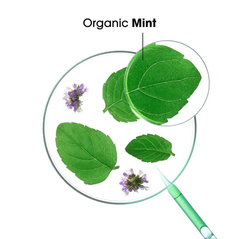 Klorane Organic Aquatic Mint Shampoo - Klorane