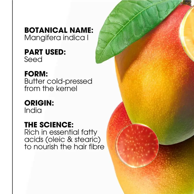 Klorane Mango Shampoo - Klorane